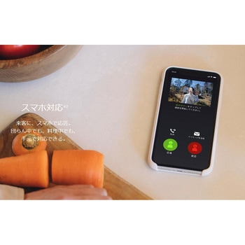 Nasta Interphone ナスタ インターホン 標準セット(有線モデル) NASTA(ナスタ)