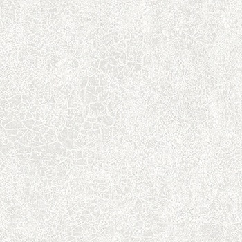 ダイノック E×シリーズ(屋外耐候性フィルム) 1220mm×50m 3M(スリーエム)