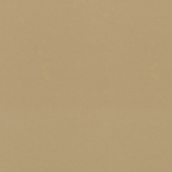 ダイノック E×シリーズ(屋外耐候性フィルム) 1220mm×50m 3M(スリーエム)