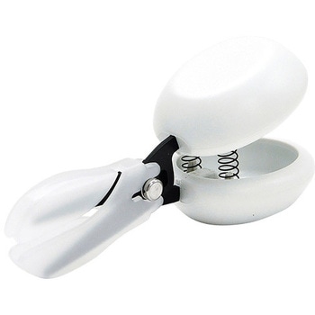 D-CASTA-W Casta�n�T�~ �A�Y���� 25447188