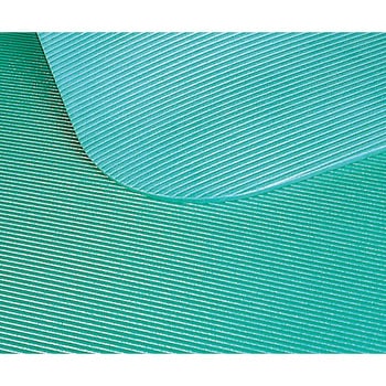 トレーニングマット AIREX Mat アズワン
