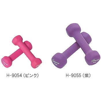 ラバーコートダンベル トーエイライト