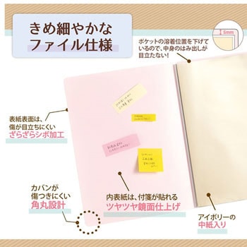 Pasty smart (パスティ スマート) クリアーファイル PLUS(プラス)[文具]
