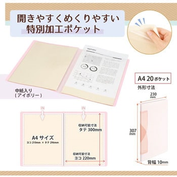 Pasty smart (パスティ スマート) クリアーファイル PLUS(プラス)[文具]