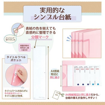 Pasty smart (パスティ スマート) クリアーファイル PLUS(プラス)[文具]