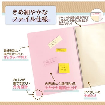 Pasty smart (パスティ スマート) クリアーファイル PLUS(プラス)[文具]