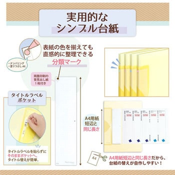 Pasty smart (パスティ スマート) クリアーファイル PLUS(プラス)[文具]