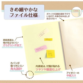 Pasty smart (パスティ スマート) クリアーファイル PLUS(プラス)[文具]