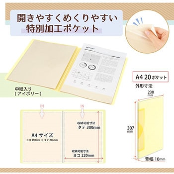Pasty smart (パスティ スマート) クリアーファイル PLUS(プラス)[文具]