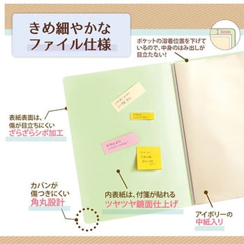 Pasty smart (パスティ スマート) クリアーファイル PLUS(プラス)[文具]