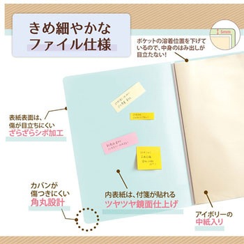 Pasty smart (パスティ スマート) クリアーファイル PLUS(プラス)[文具]