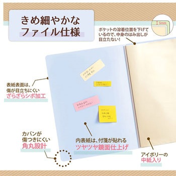 Pasty smart (パスティ スマート) クリアーファイル PLUS(プラス)[文具]