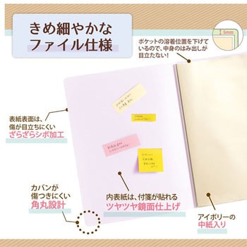 Pasty smart (パスティ スマート) クリアーファイル PLUS(プラス)[文具]