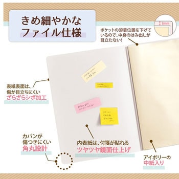 Pasty smart (パスティ スマート) クリアーファイル PLUS(プラス)[文具]