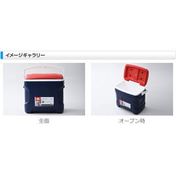 gloo イグルー コンツアー 30 クーラーボックス Amazon | igloo(イグルー) コンツアー 30 クーラーボックス (28L