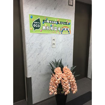レーザーピーチ 両面印刷タイプ レーザーピーチ