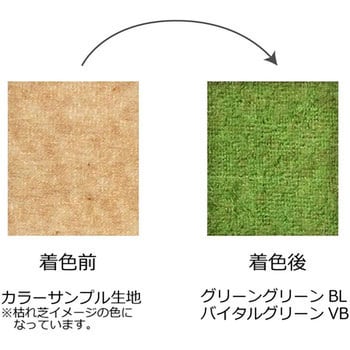 芝生用着色剤 グリーングリーン フジワラ化学 農薬登録なし(非農耕地用