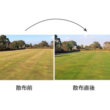 芝生用着色剤 グリーングリーン フジワラ化学