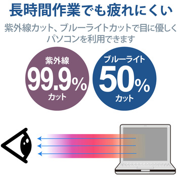 プライバシーフィルター のぞき見防止 液晶保護 Panasonic Let’s note CF-SR シリーズ用 12.4インチ ブルーライトカット 抗菌 エレコム