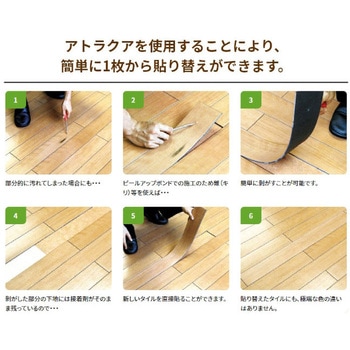 アトラクア 泰邦