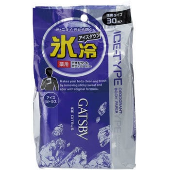 HO-256 ギャツビーボディペーパー徳用 1個(30枚) ユニット 【通販