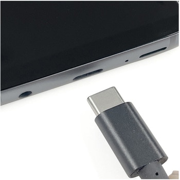 C-AUX ケーブル 1m カシムラ