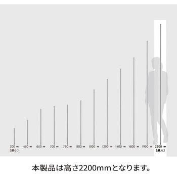 ベーシックシリーズ ポール ・ステンレス (2本入) ERECTA(エレクター)