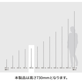 ポール ブラック (2本入) ERECTA(エレクター)