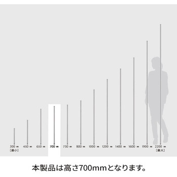 ポール ブラック (2本入) ERECTA(エレクター)