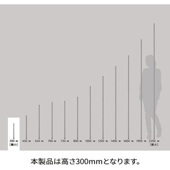 ポール ブラック (2本入) ERECTA(エレクター)