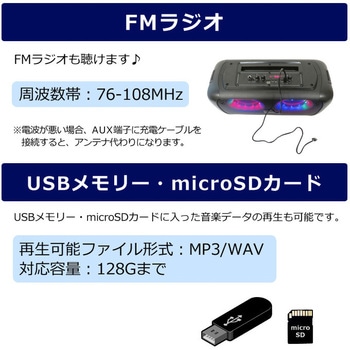 CICONIA  コンパクトLEDパーティースピーカー CICONIA