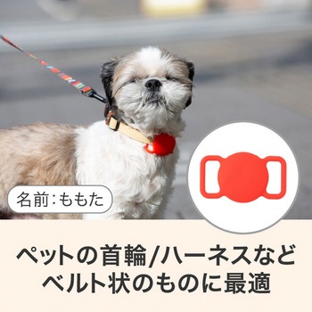 スマートタグアクセサリ 首輪/ハーネスケース グリーンハウス