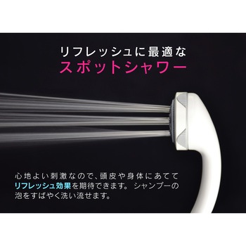 ホリダー・シモン シャワーヘッド 5段切替 (節水 マッサージ 掃除 リフレッシュ ボッシーニ) GAONA(ガオナ)