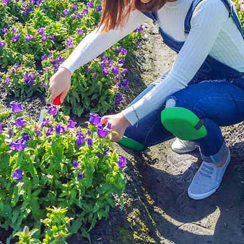 ひざあて - sita(サイタ)