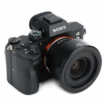 【美品】Sony FE 28-60mm F4-5.6 レンズフィルター2個付き