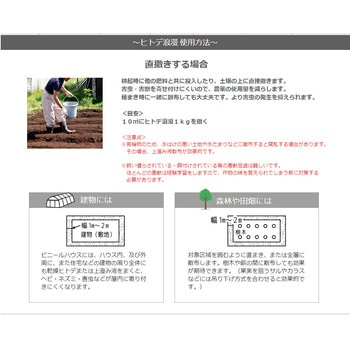 ヒトデ浪漫(500g) 寿産業