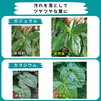 MY PLANTS 葉をきれいにするミスト KINCHO園芸