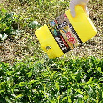 ネコソギシャワーⅤ6 レインボー薬品