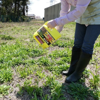 ネコソギシャワーⅤ6 レインボー薬品