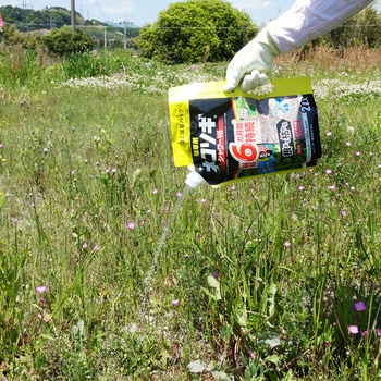 ネコソギシャワーⅤ6エコパウチ レインボー薬品