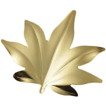 - 18-8t}(͂) gt TKG 25718368