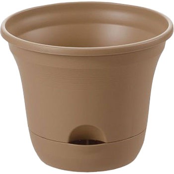 25^ EI |bg Richell(b`F) 25728727