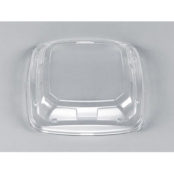 1 SF�|�� �ƍ��W �V�[�s�[���� 25741057