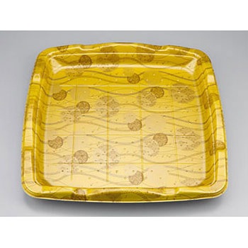 5 SF { V[s[ 25741224