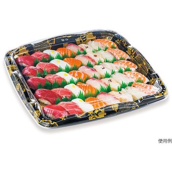 SF剛力 本体 シーピー化成