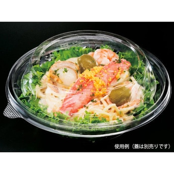 COPNアール  本体 シーピー化成