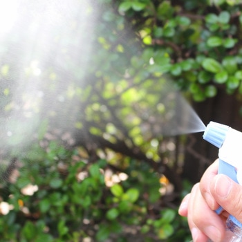 ザ・霧吹き (振り子式) ダリヤ