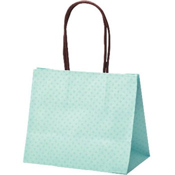 50-6030 手提げバッグ テミニン ササガワ 25873104