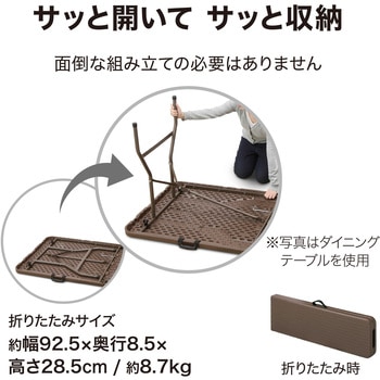 イージーキャリー ベンチラタン調 ブラウン タカショー