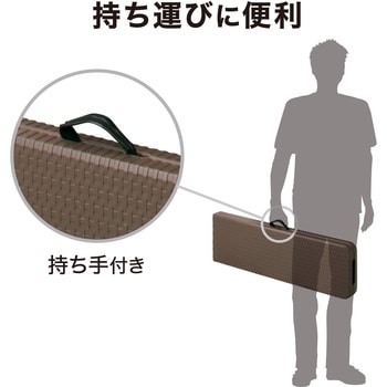 イージーキャリー ベンチラタン調 ブラウン タカショー